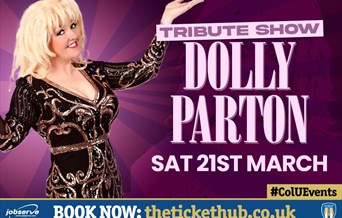 Dolly Parton Tribute
