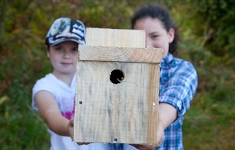 Fingringhoe Bird Box Building
