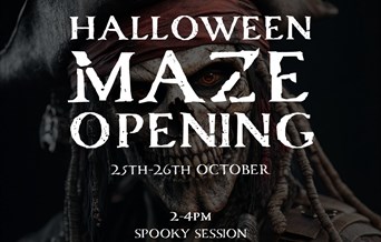 Halloween Maze