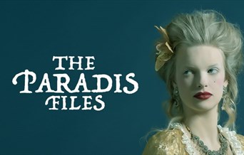 The Paradis Files