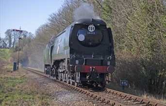 Southern Steam Giants