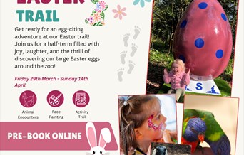 Easter Trail Call of the Wild