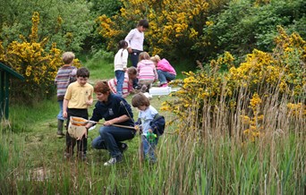 Pond Dipping