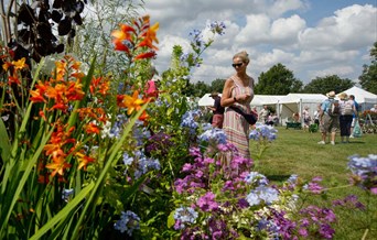 Hyde Hall Flower Show