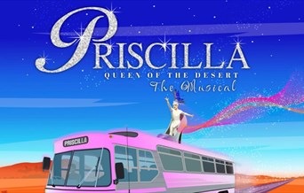 Priscilla Queen of the Desert
