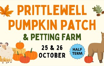 Prittlewell Pumpkin Patch & Petting Farm