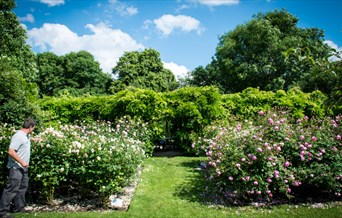 A gardener tending to the floral displays in the gardens, by Tom McGahan
