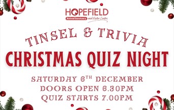 Tinsel & Trivia: Quiz Night