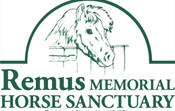 Remus Horse Sanctuary Open Day and Dog Show