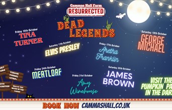 PUMPKIN PATCH NIGHTS Resurrected!
