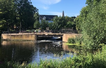 The Weir on the River Colne