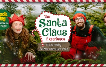 The Santa Claus Experience