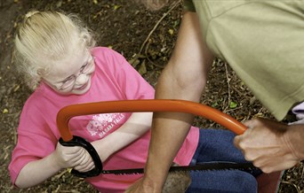 Belfairs Den Building for Families