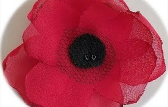 Creative Net: Remembrance Poppies