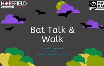 Bat Talk & Walk