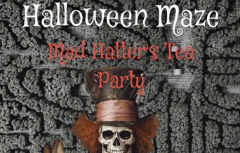 Chigborough Halloween Maze 2025