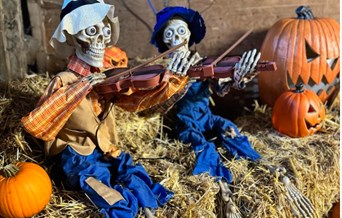Halloween Festival
