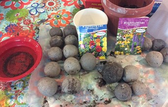 The different parts of a seed bomb including clay and wildflower seed mixes
