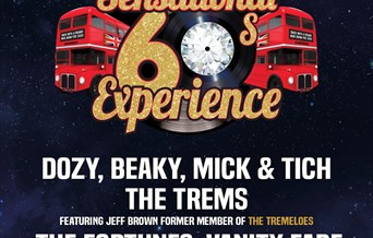 The Sensational Sixties Experience