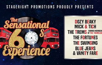 The Sensational Sixties Experience