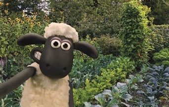 A selfie of Shaun the sheep in front of some brassica