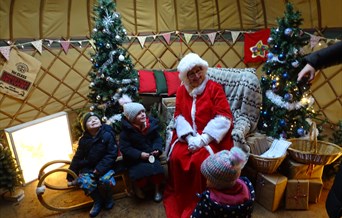 Thameside Mother Christmas