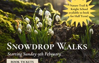 Snowdrop Walks