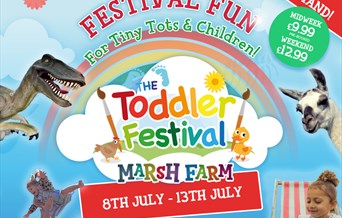 Toddler Fest... THE FUN CONTINUES