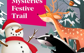 Animal Mysteries Festive Trail