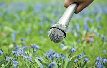 A microphone held up to a field of bluebells