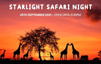 Starlight Safari Night - 25th September 2021, open until 9.30pm