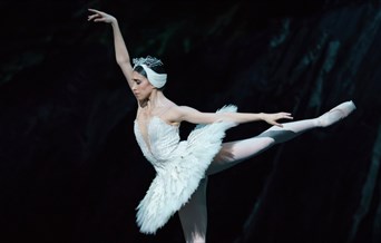 Swan Lake