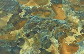 Art Exhibition : Nature, Inspiration and Memories by Annette Evans