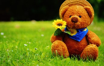 Picture of teddy bear