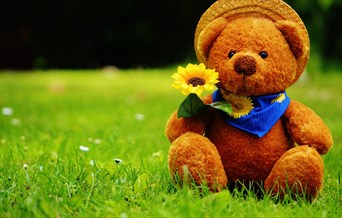 Picture of teddy bear