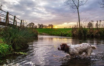 Essex Way Stage 4 - Terling to Coggeshall