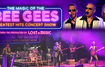The Magic of the Bee Gees