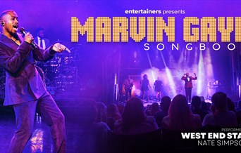 The Marvin Gaye Songbook