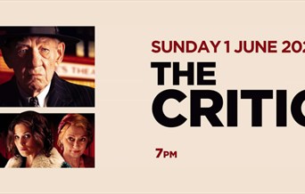 Film: The Critic (15)