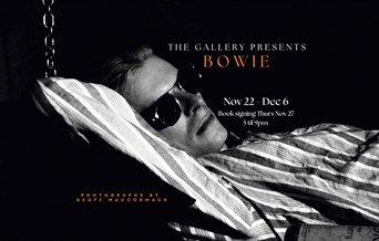 The Gallery presents Bowie