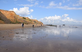 Secret History of The Naze Guided Walk