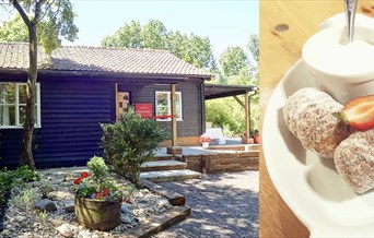 Treats at The Secret Sconery in White Roding, Essex