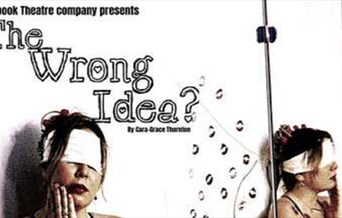 The Wrong Idea?