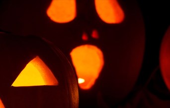 Thorndon Pumpkin carving