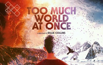 Too Much World At Once