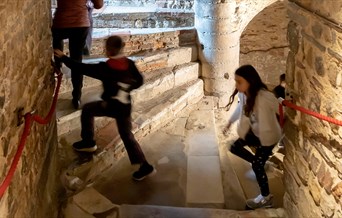 Family Tours of Colchester Castle