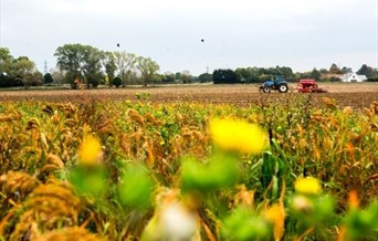 Tractor Ploughing in Tolleshunt Knights