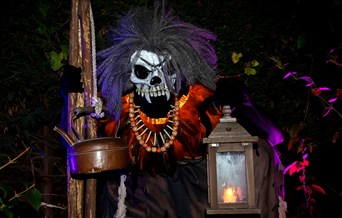 Trail of Terror