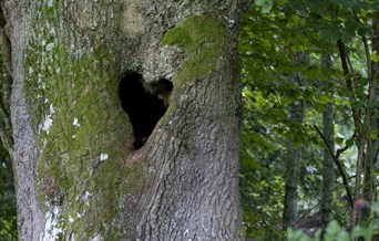 Fingringhoe Friendship bracelets