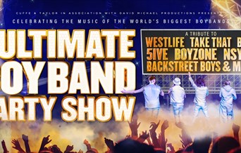 The Ultimate Boyband Party Show